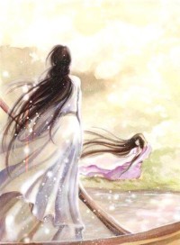 毒医风华,盛宠太子妃